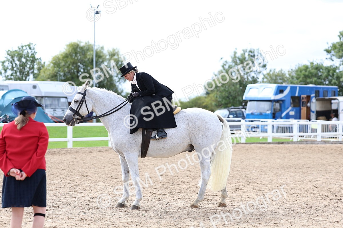 SBM_03459 - Class 24 - SSA Concours d'elegance (any age)