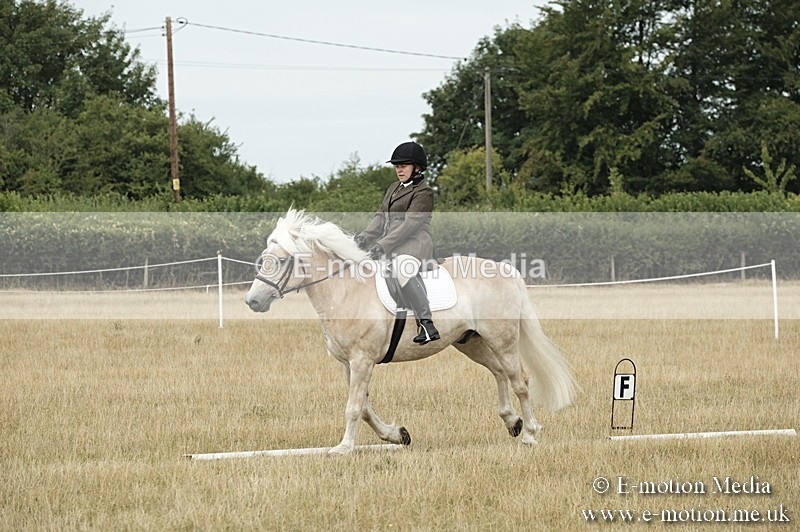 _PJP5748 - Dressage Classes BVRC Show 2018