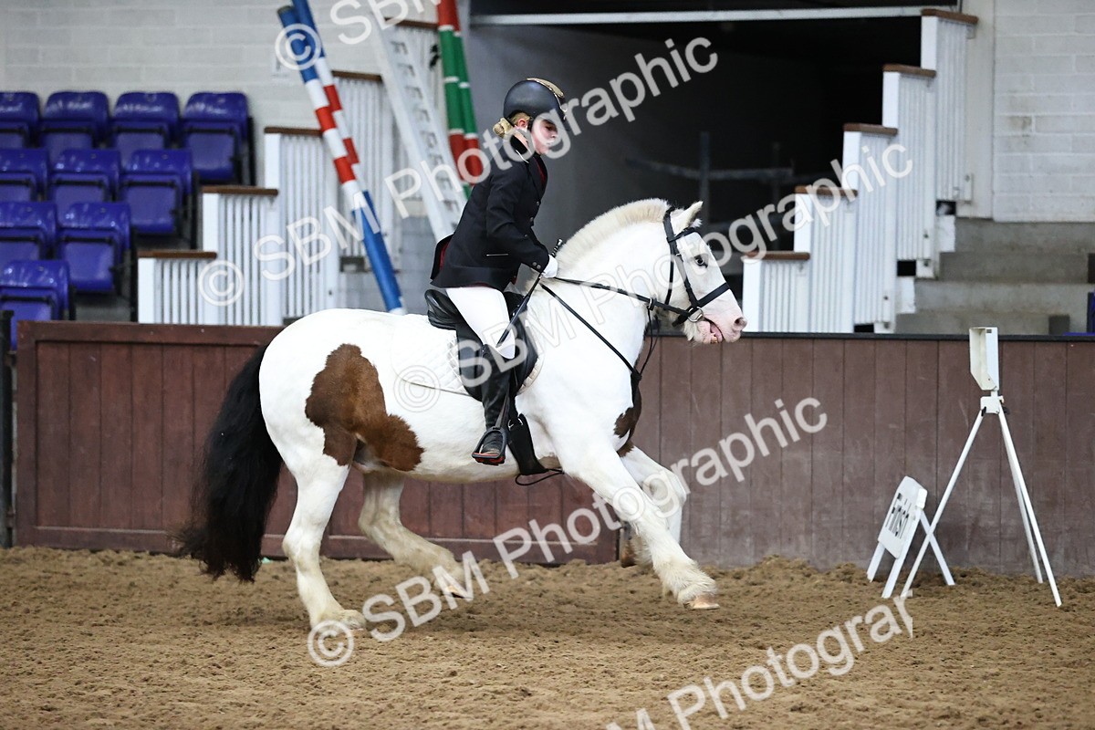 SBM_000212 - Class 2 - The Rug Lady 40cm Area 12 Championship Qualifier
