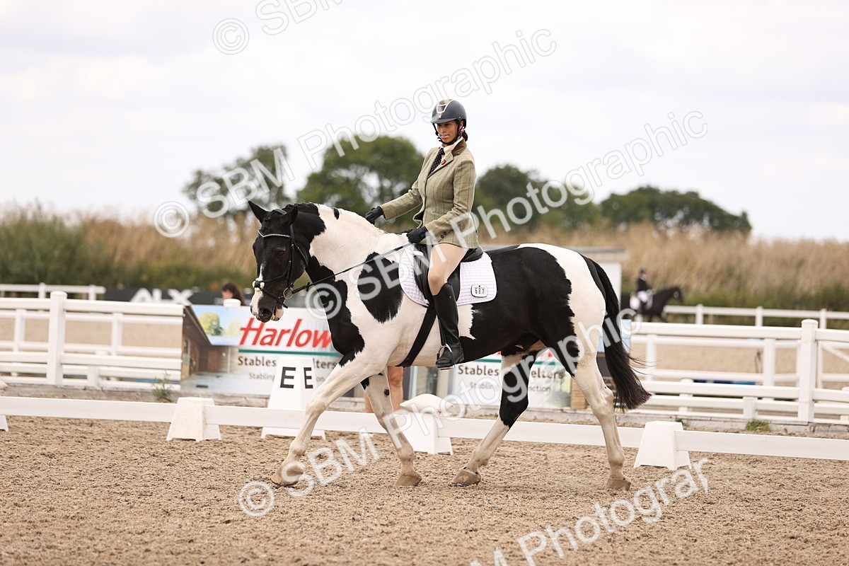 SBM_05884 - Class 37 Novice 5