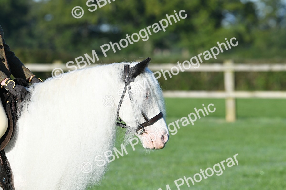 SBM_33882 - S16 - Condition & Turnout - Ridden