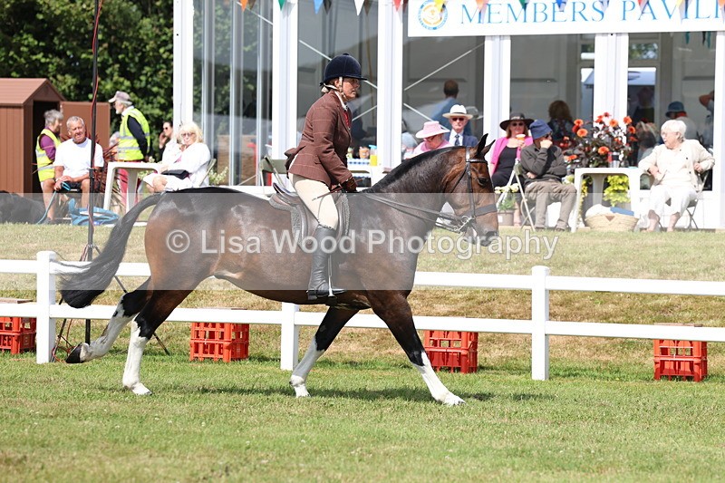 3E7A9979 - Class 5: Rising Star Lightweight/Heavyweight Cobs