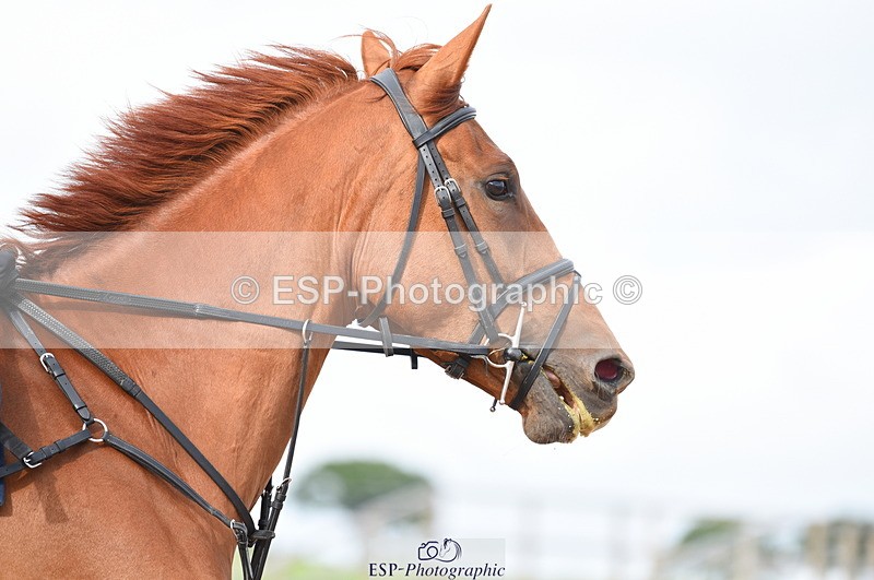 230711A-175230-00358 - 80cm