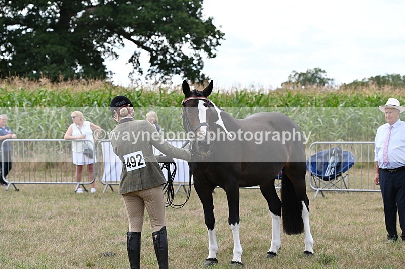 WJ6_6212 - Class 19 In-hand Veterans (Uploaded correct folder)