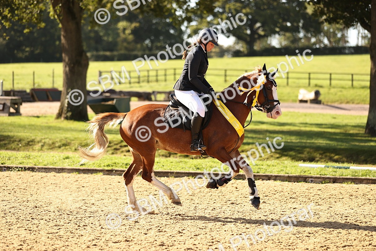 SBM_35227 - J38 - Senior 80cm Championship