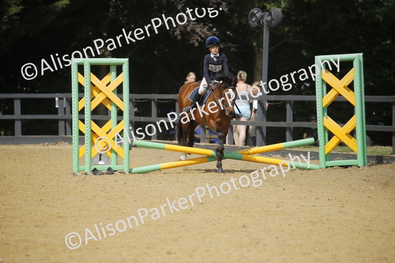 20250622-3864 - 50cm