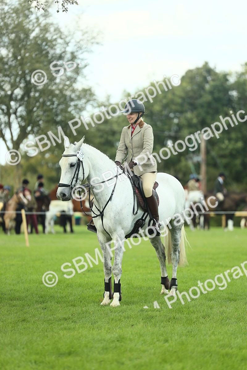 SBM_47972 - S32 - Novice & Newcomers Working Hunter