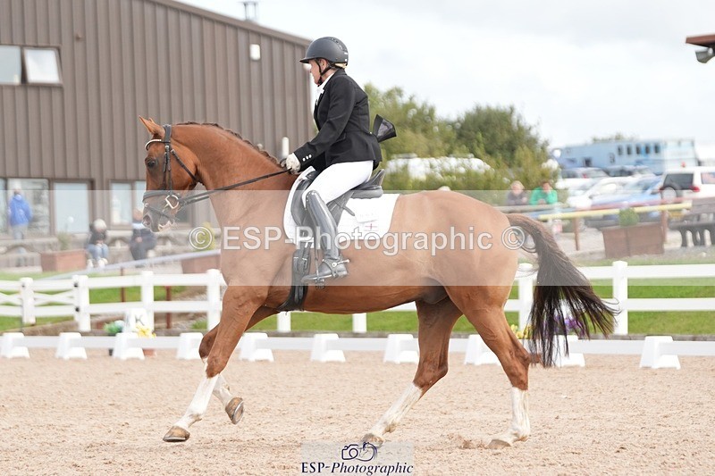 250906-112345-01615 - 007-Karen.DanceHevans.Sign.of.the.Times