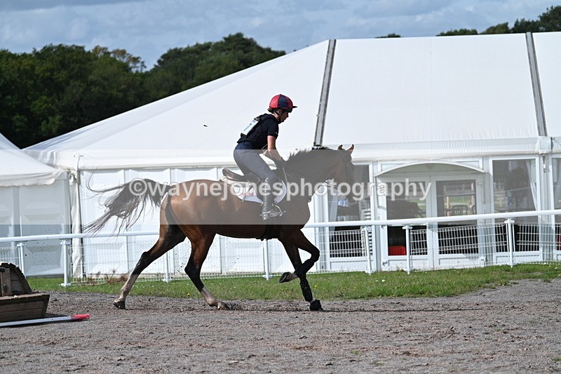 WJ7_2067 - Time 13:17 to 13:53