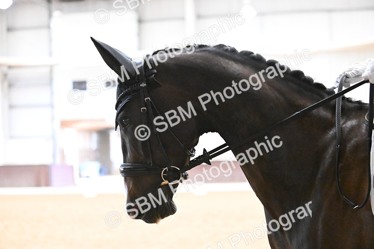 SBM_017863 - Class 5 - Novice FSM