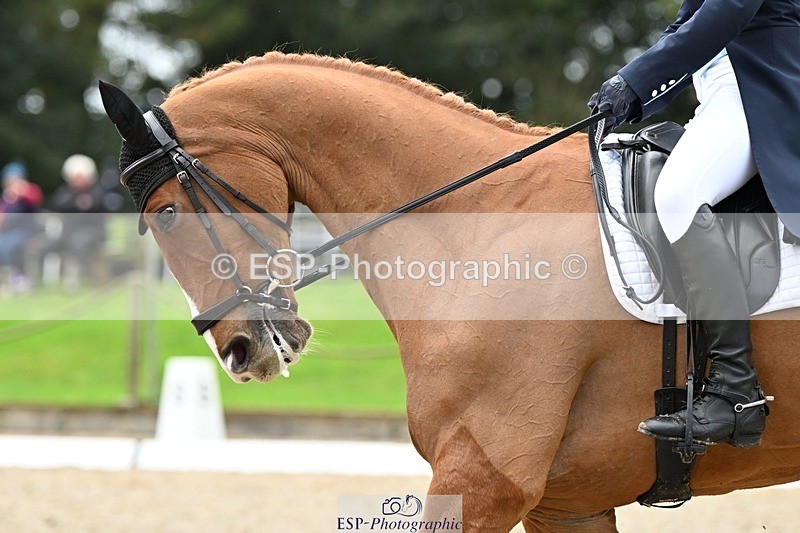 231019-130121-02910 - 049-AUGUSTUS.IMPERIOUS-Ines.Mitchell-DR