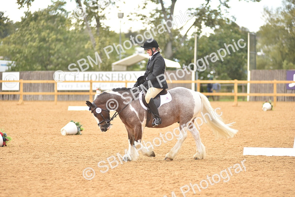 SBM_11281 - D15 - Small Tour Championship Novice 1