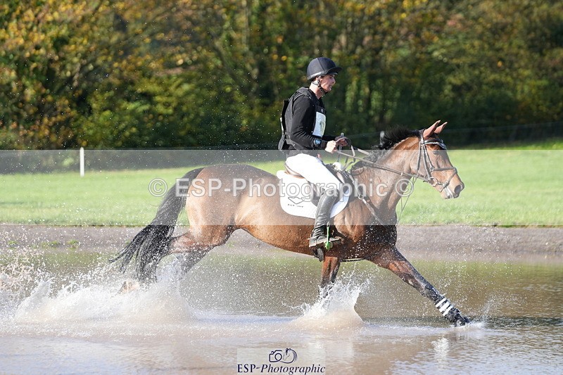 251024A-112025-07201 - A-017-Harrison.Chart