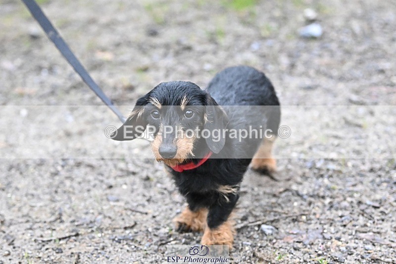 241206-144342-01142 - Naomi