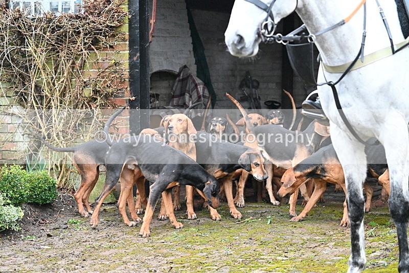 WJ7_2932 - Meet