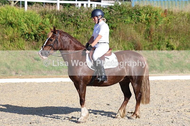 3E7A3694 - Class 2: Intro 1 2024 Section B