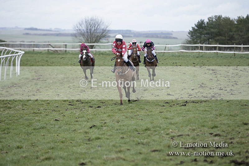 PtP 150320 0843 - New Forest Point-to-Point Larkhill 15/03/20