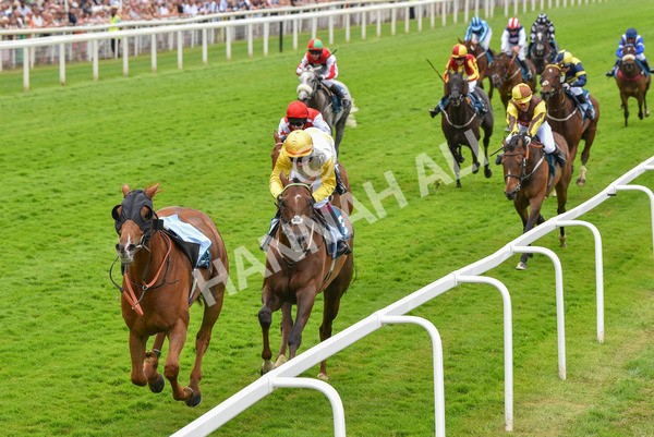 170623-Race 1-Kihavah-6907 - Race 1 2.00pm Queen Mother's Cup Handicap