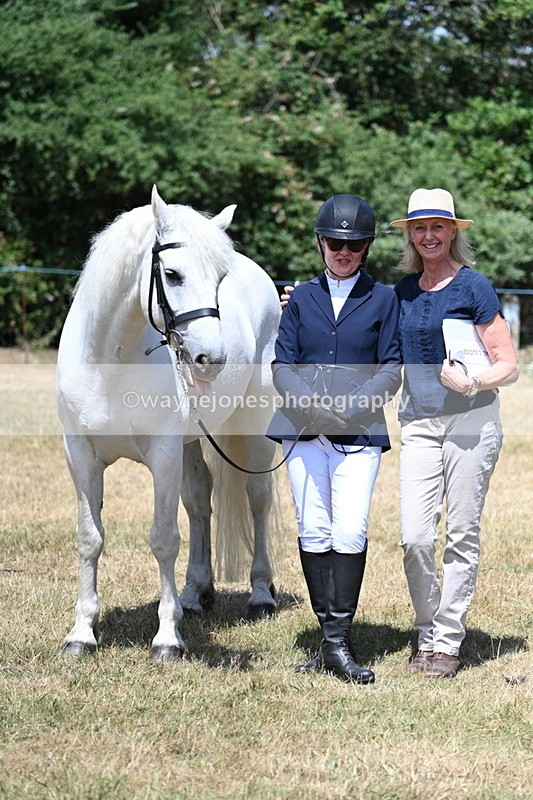 WJ7_2474 - Class 5a Most Handsome Gelding in hand (above 14.2hh)