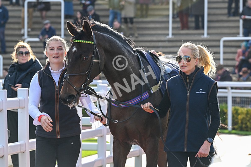 241025-Race 4-Gower Spirit-3553 - Race 4