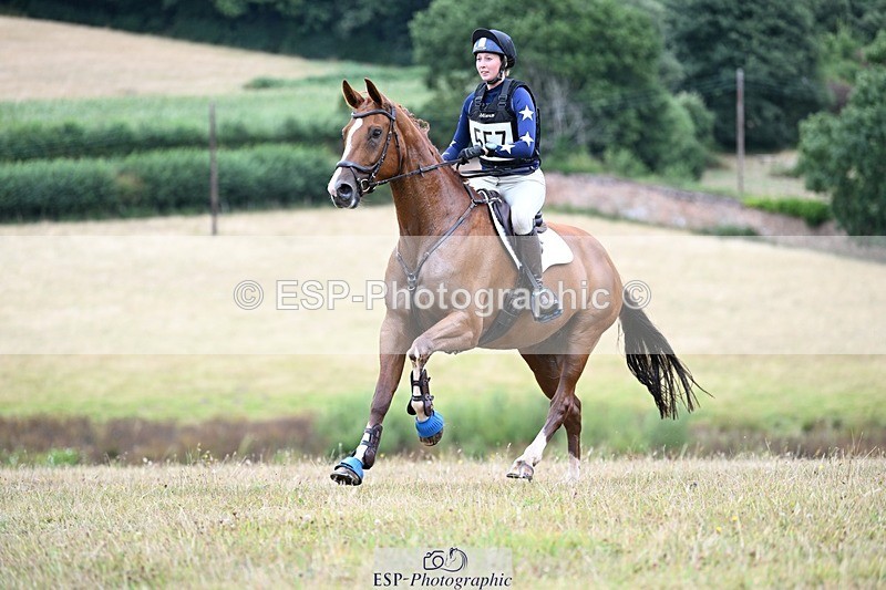 250803A-124348-13292 - M-557-Heidi.Allen-COMIC.WANDA