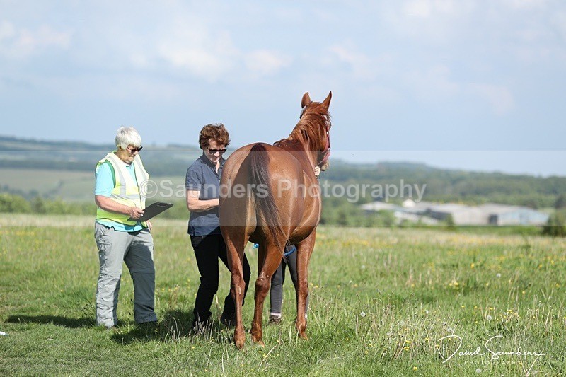 SPXX0003 - Friday vetting