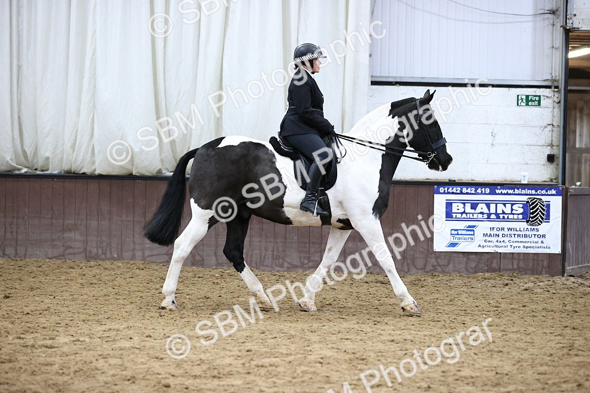 SBM_6336 - Class 45-42 - Ridden Irish Breeds-Ridden Cob