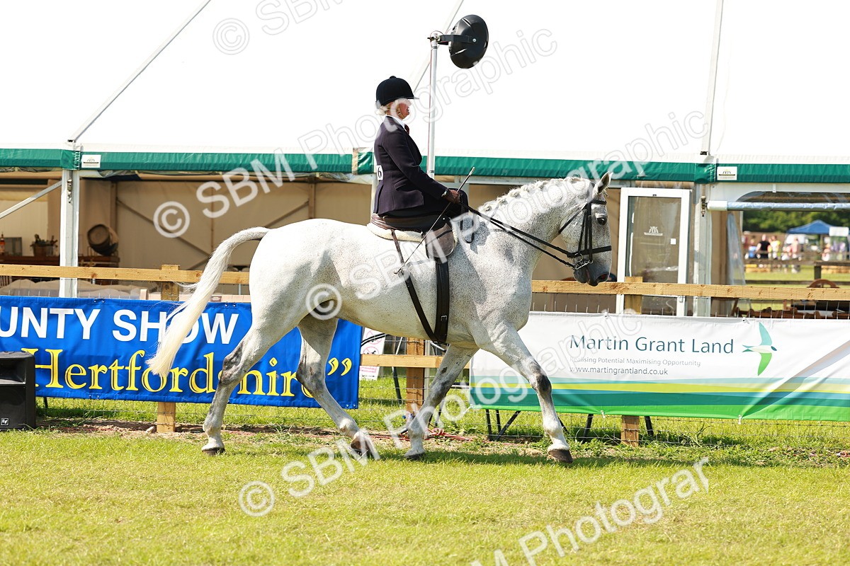 SBM_13313 - Class 70-71 - Side Saddle