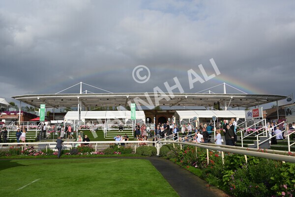 yr04092022r6-24 - Race 6 4.40pm Hanson Springs Stakes