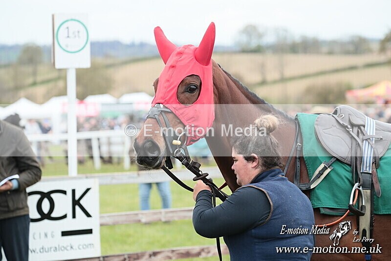 PtP 130425 207 - Edgecote Races 13/04/25