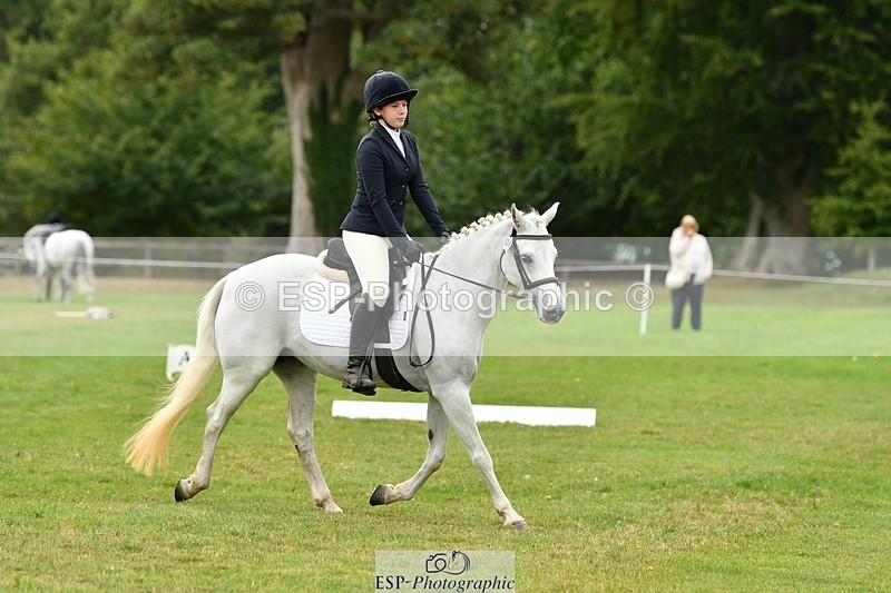 250820A-121710-05533 - 12 to 13.00