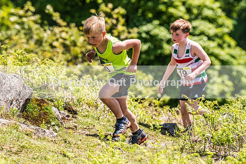Coniston Junior-9 - Coniston Gullies Junior Fell Races Sunday 24th May 2026
