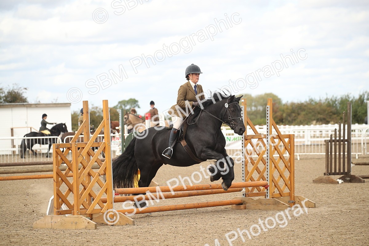 SBM_14543 - Class 505a - M&M Working Veteran - 50cm (15-19)