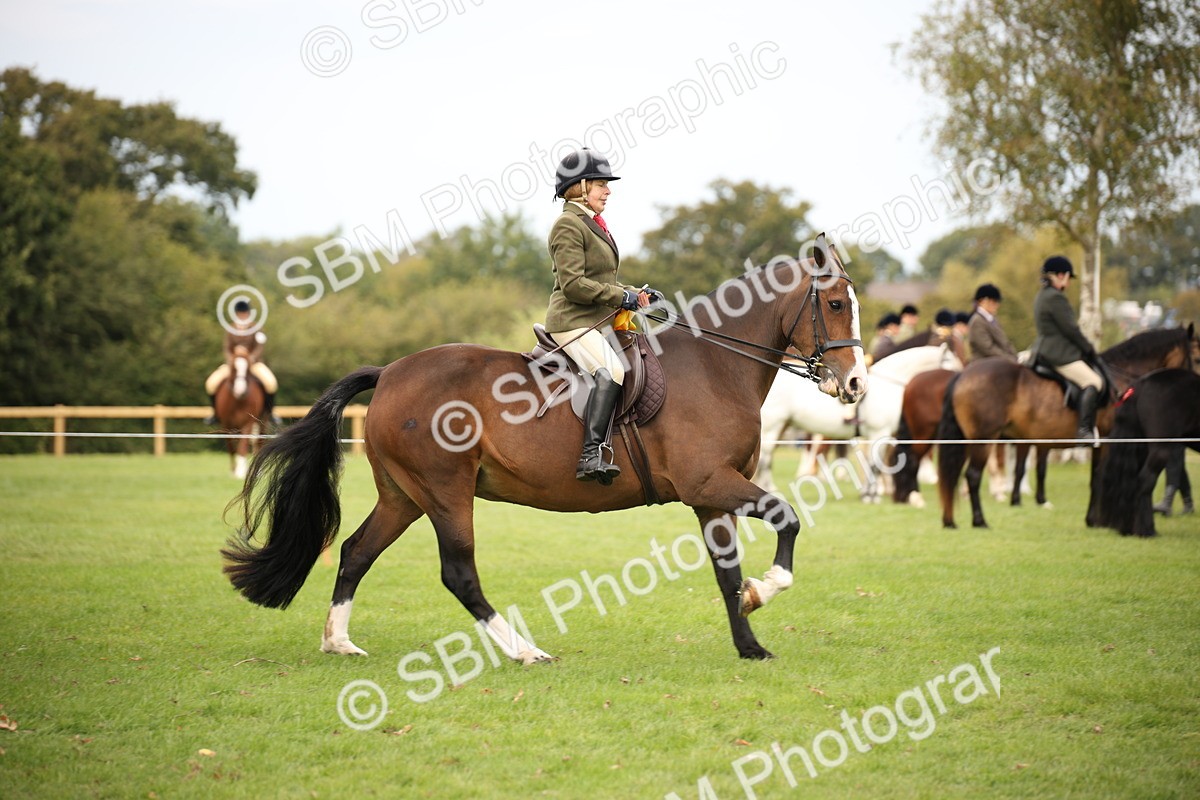 SBM_72416 - S67 - Show Cob Ridden