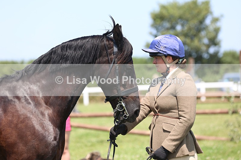 JPP_2894 - Class 21: Working Hunter 60cm