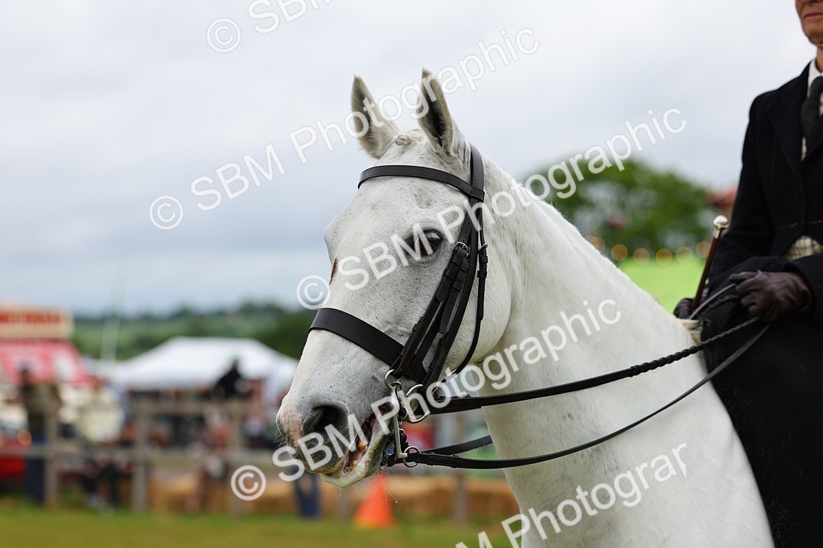 SBM_02947 - Class 9-11 Side Saddle including LIHS Rising Star Ladies Show Horse