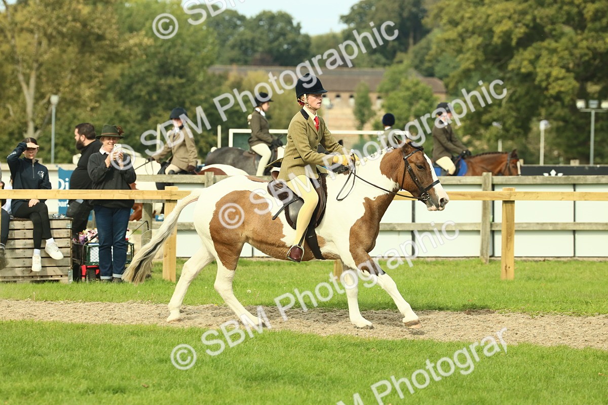 SBM_68127 - S57 - Part Bred Pony Ridden