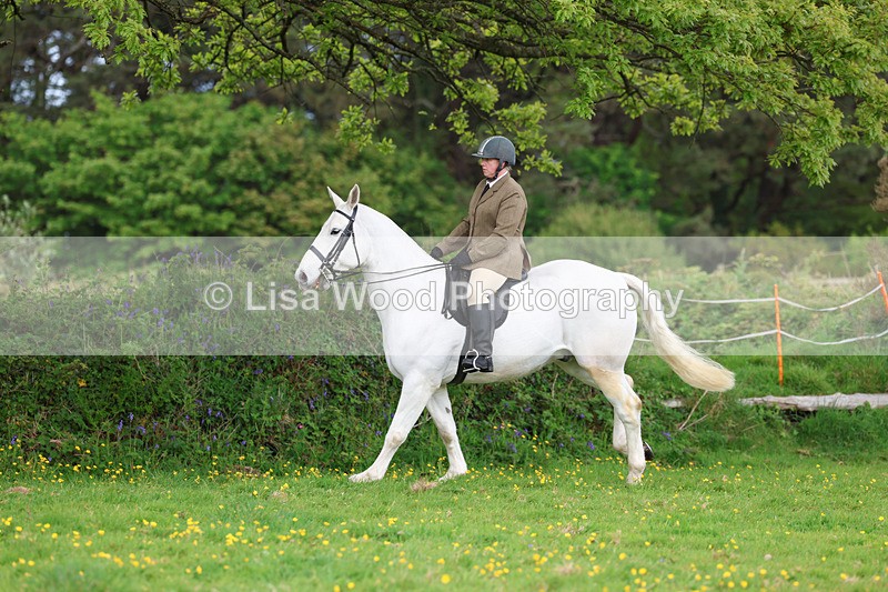 3E7A1173 - Class 7: Ridden Hunter Type