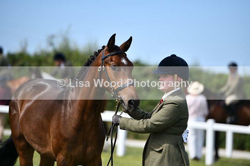 DSC_8403 - Class 68: Part Bred In Hand M & M
