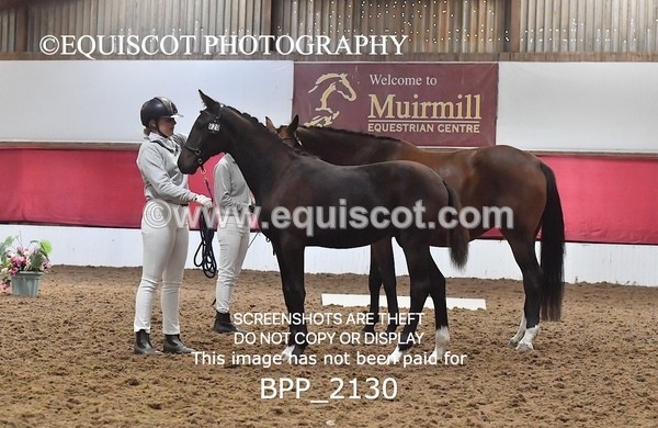 BPP_2130 - AFTERNOON 12.30 - 3.30PM