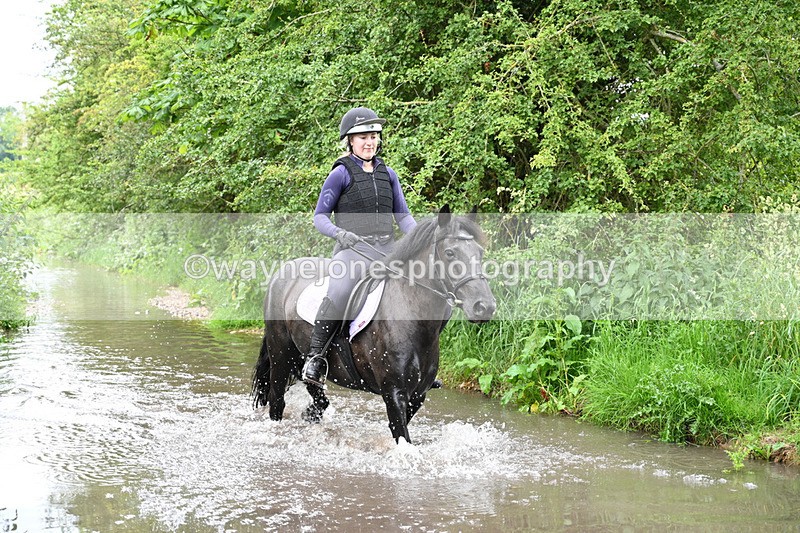 WJ7_2170 - Camera 2 Water Crossing