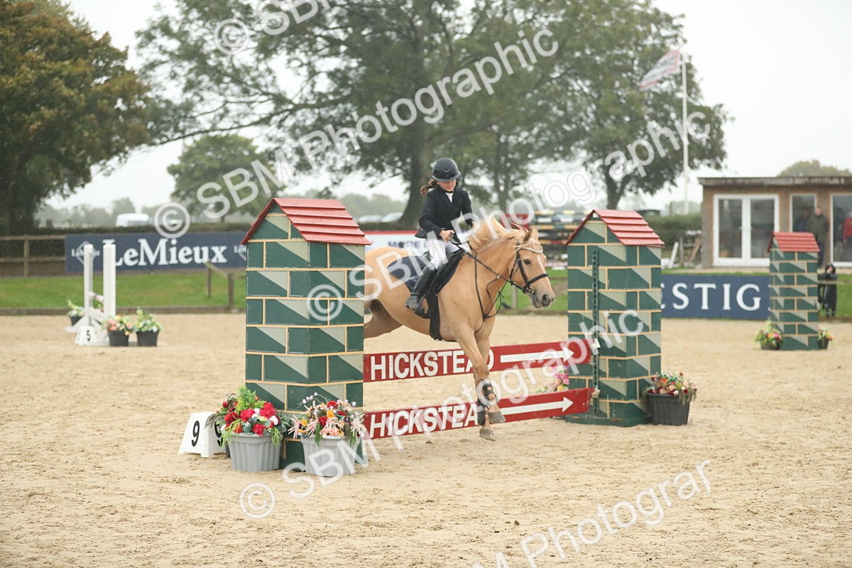SBM_74289 - Supreme championship Junior Pony 70cm 75cm
