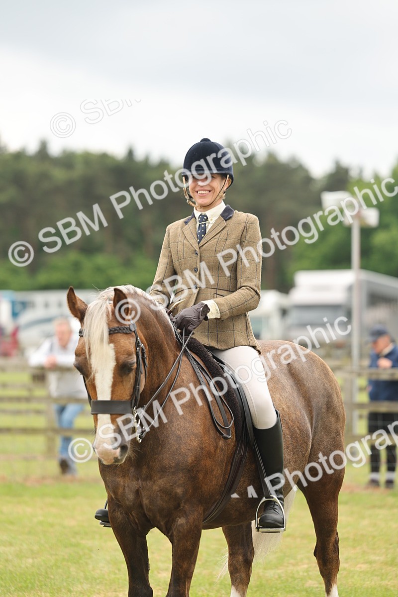 SBM_07252 - Class 76-77 - Ridden M&M Welsh Ponies
