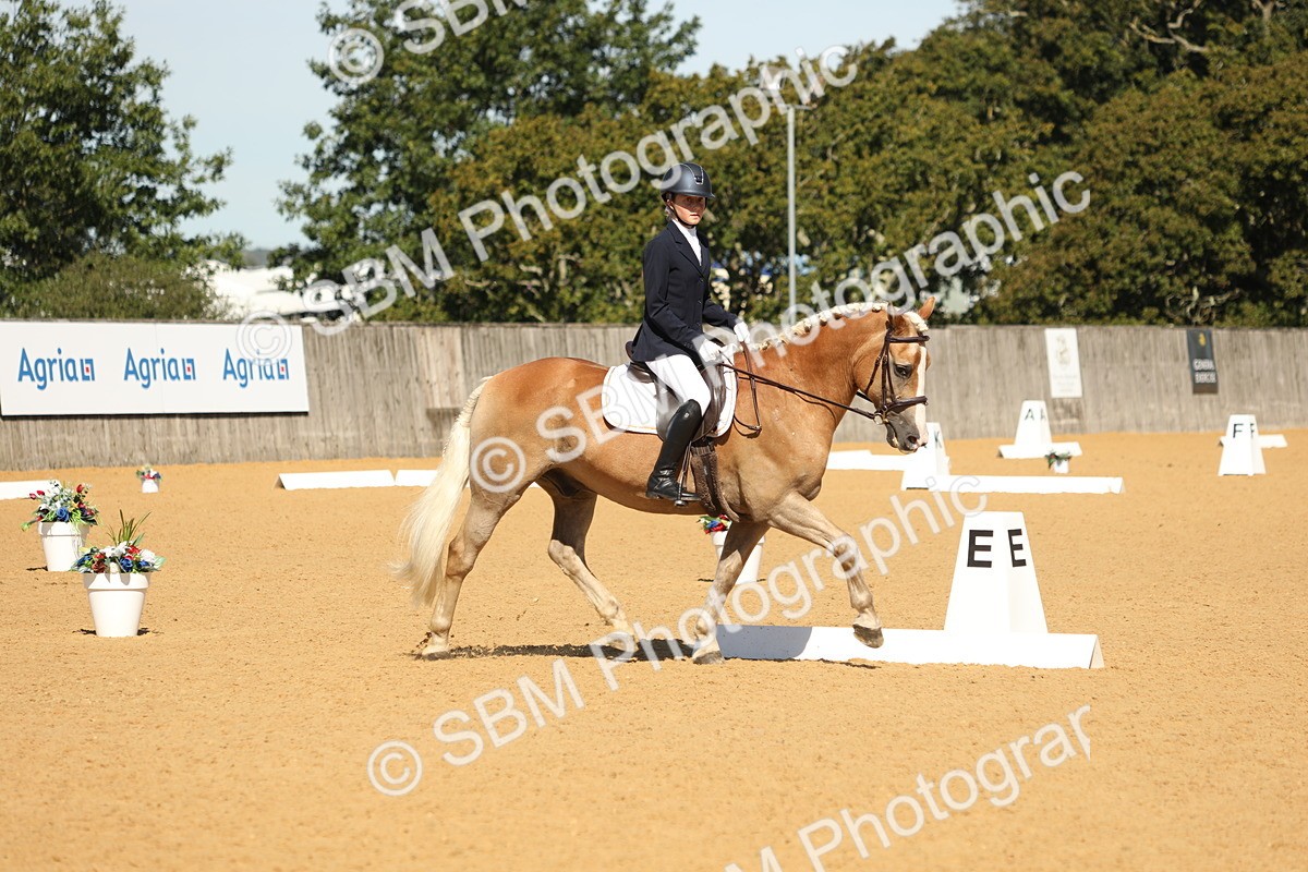 SBM_19741 - D10 - Small Tour Championship - Prelim 2