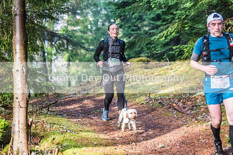 Glentress-1720 - High Terrain Events Glentress Winter Trail half Marathon & 10K Trail Run Saturday 19th November 2022