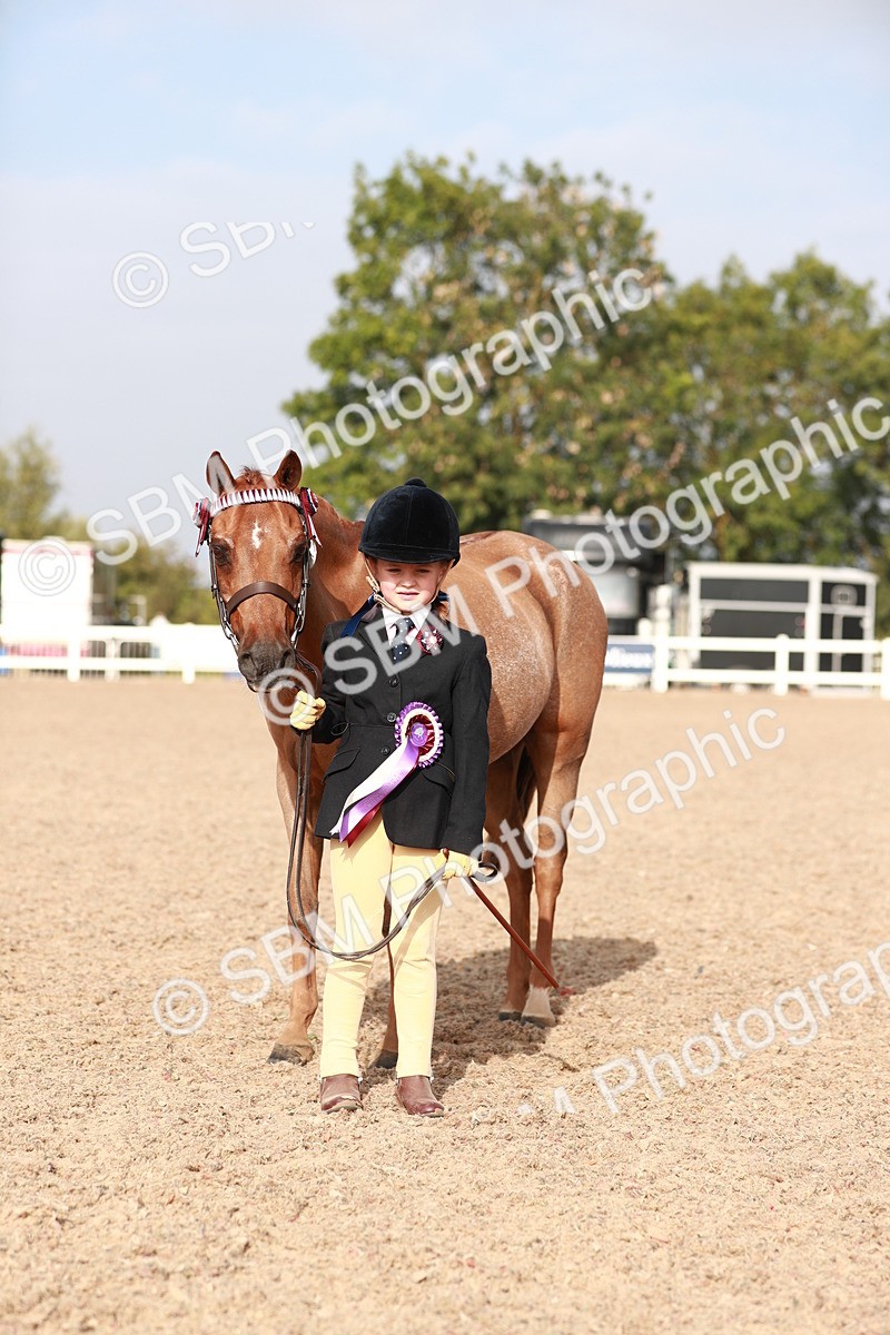 SBM_09950 - Class 203 Young Handler, 10 years and under