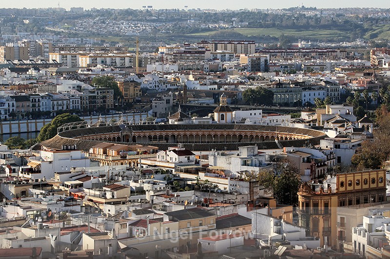 View of Bullring from Cathedral bell tower, Seville, Spain - Seville, Spain