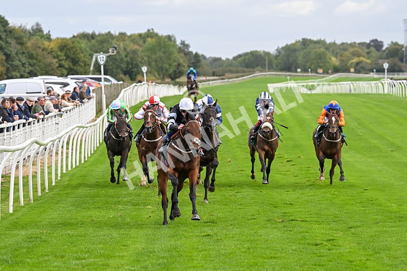 021024-Race 3-Kirkdale-9304 - Race 3