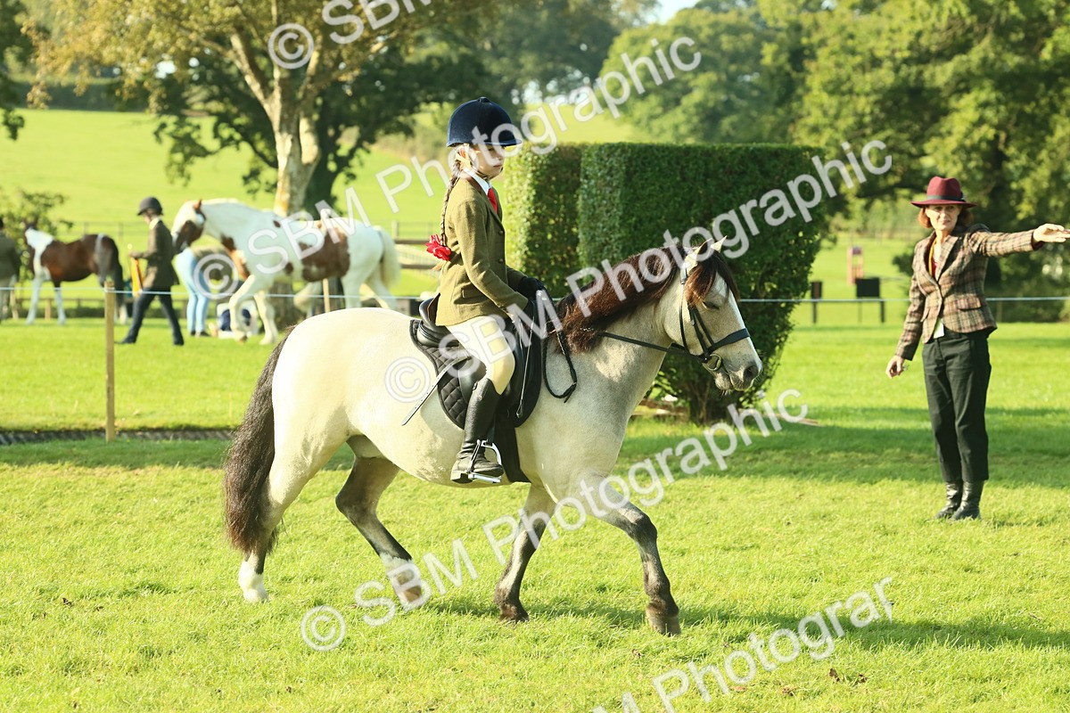 SBM_59137 - S38 - Starters Ridden Showing