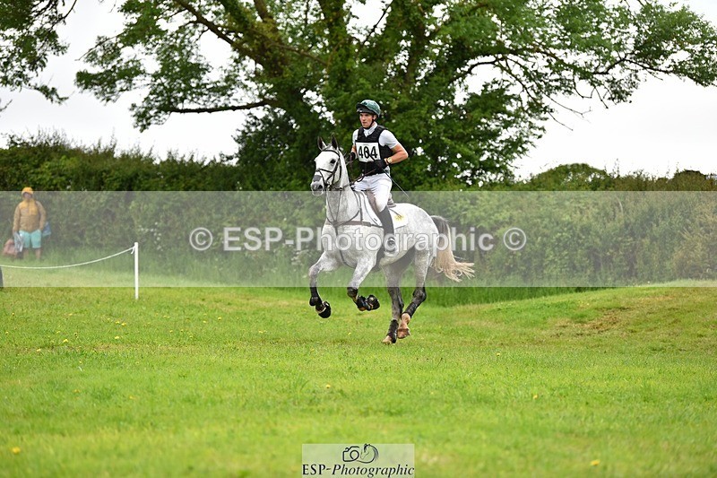 240526-124418-21665 - 404-DEERPAIRC_REVELRY-Max_Warburton